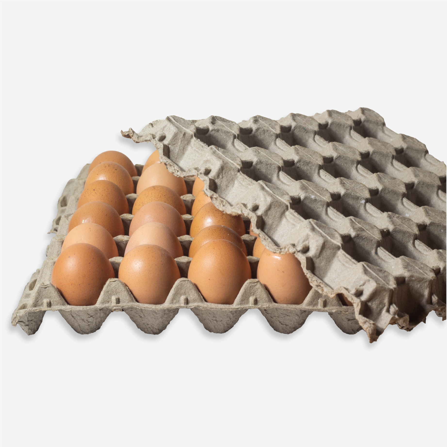 Huevera de carton para 30 huevos